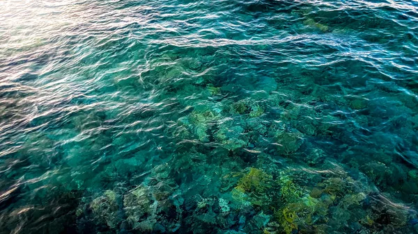 Bela imagem de mar calmo com água azul-turquesa clara. Corais coloridos e rochas no fundo do mar — Fotografia de Stock