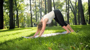 Ormanda fitness minderi üzerinde yoga egzersizleri yapan 40 yaşında gülümseyen mutlu kadın fotoğraf. İnsanın doğadaki uyumu. Orta yaşlı insanlar zihinsel ve fiziksel sağlık araba alarak