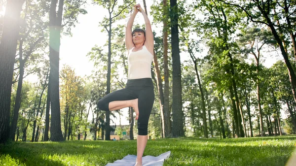 Wizerunek uśmiechniętej kobiety w średnim wieku w fitness ubrania robi rozciąganie i ćwiczenia jogi. Kobieta medytacja i czyny sportowe na mat fitness na trawie w parku — Zdjęcie stockowe