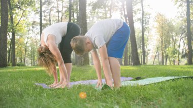 Parkta çim üzerinde yoga ve fitness yapan genç erkek öğretim orta yaşlı kadın Görüntü. Sağlıklarına dikkat eden aile
