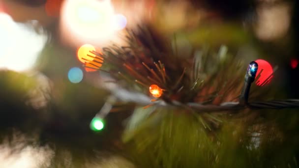 Macro 4k vídeo de guirlandas de Natal coloridas brilhantes e ramo de abeto. Tiro perfeito para suas férias de inverno e celebrações — Vídeo de Stock