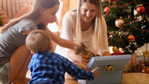 4k footage of happy family opens Christmas gifts and presents. Cute little kitten walking out of the box. Family having good time and fun on winter holidays and celebrations. — Stock Video