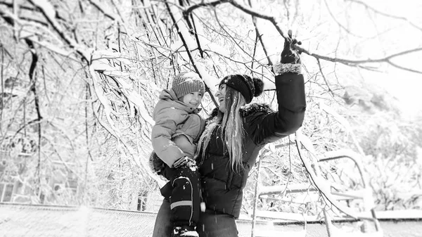 Černobílá fotografie matky se synem v bundě s kloboukem, který si pohrává se sněhem pokrytou stromem na hřišti v parku — Stock fotografie