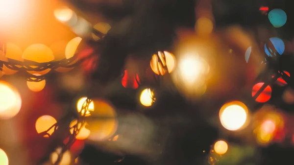 Closeup模糊了圣诞彩灯和圣诞树枝条的图像 — 图库照片