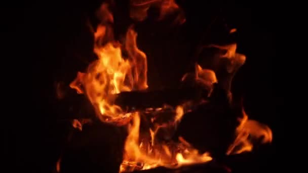 Gros plan vidéo au ralenti de la combustion de bûches de bois dans le four à pizza traditionnel — Video