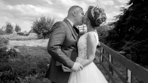 Preto e branco retrato de feliz casal recém-casado beijando no campo — Fotografia de Stock