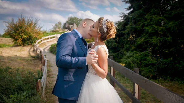 Retrato de primer plano de pareja recién casada besándose apasionadamente en el campo en el campo — Foto de Stock