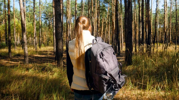 Rear view photo of female tourist with backpack walking in pine forest — Stock Photo, Image