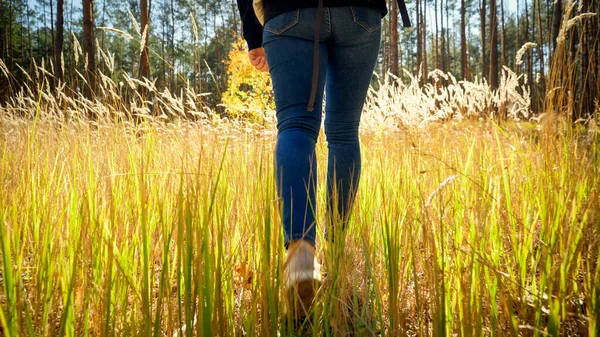 Rear view photo of female tourist legs walking in high grass at forest — Stock Photo, Image
