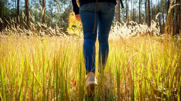 森林中走在高高的草地上的女性游客的后视镜照片 — 图库照片