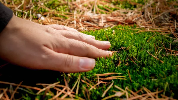 Citra dekat tangan wanita menyentuh lumut hijau dan tanah di hutan. Konsep ekologi, perlindungan lingkungan dan harmoni dengan alam — Stok Foto