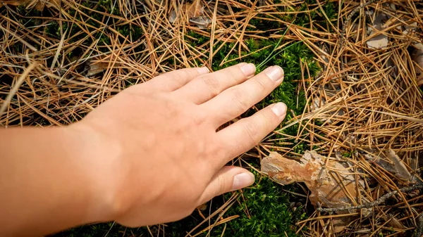 Closeup photo of woman touching ground in pine forest. Concept of ecology, environment protection and harmony with nature — Stock Photo, Image