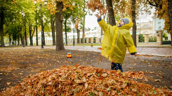 Szczęśliwy chłopczyk w płaszczu przeciwdeszczowym bawiący się i rzucający jesienne liście w parku — Zdjęcie stockowe