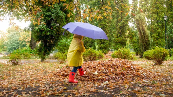 Petit garçon avec parapluie marchant sur des feuilles d'auutmn humides après la pluie au parc — Photo