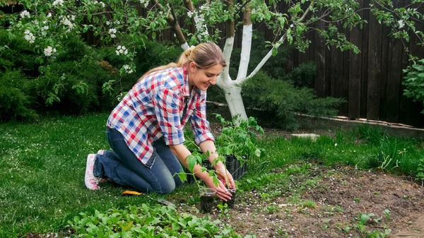 Wanita muda tersenyum menanam bibit sayuran di kebun — Stok Foto