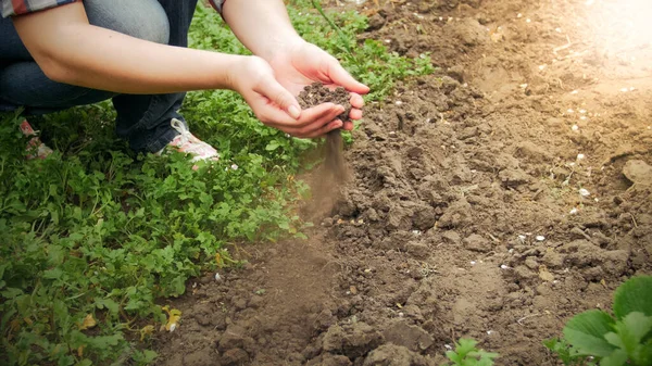 Closeup image of young woman holding dry earth or soil in hands at garden — Stock Photo, Image