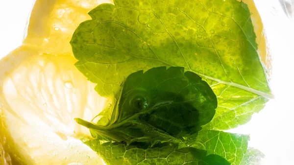 Макроизображение свежих листьев мяты, плавающих в коктейле или холодном лимонаде — стоковое фото