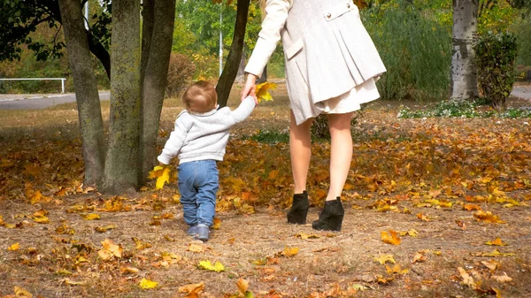 Bonito menino segurando as mães mão e dando os primeiros passos na floresta de outono ou parque — Fotografia de Stock