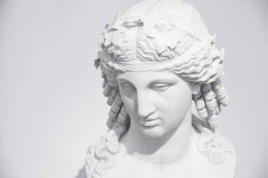 Dionysos Tanrı Bereket, bitki örtüsü ve şarap Dionysos biridir en tartışmalı Olympus sakinlerinden. Genç adam büyüleyici bir sürü şakalar yapar ve diğerleri eğlenceli. Kahkaha ve neşe Zeus'un genç oğlu eşlik. 