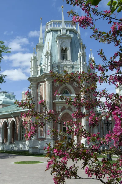 Tsaritsyno Palace Park Ensemble South Moscow Fundada Por Emperatriz Catalina —  Fotos de Stock