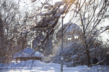 Trinity Churchon Borisov göletleri