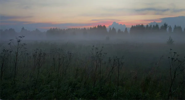 Misty Paisaje Otoñal Del Campo Cerca Moscú — Foto de Stock