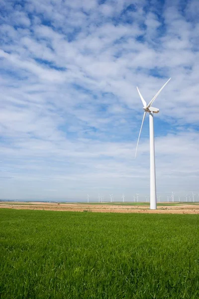 Moinhos Vento Para Produção Energia Elétrica Província Zaragoza Aragão Espanha — Fotografia de Stock