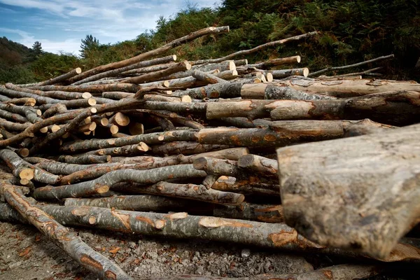 ピレネー山脈 フランスの林業作業 — ストック写真