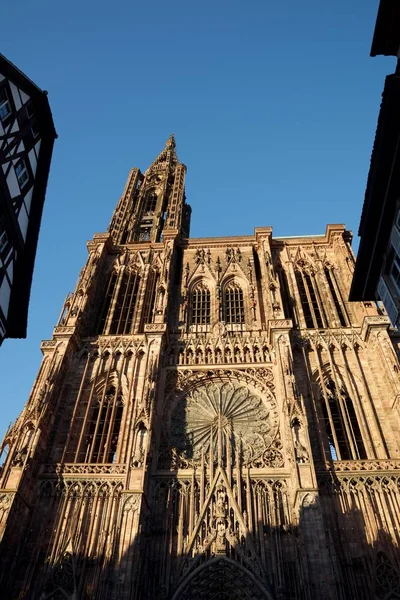 Katedral Strasbourg Alsace Fransa — Stok fotoğraf