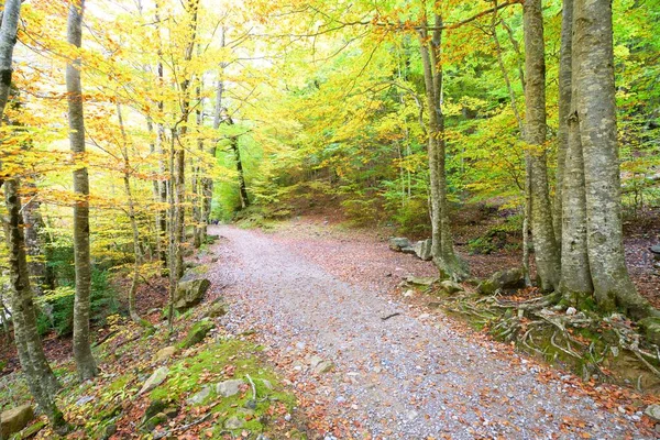 Ordesa Ulusal Parkı, Pireneler, Huesca, Aragon, İspanya 'da yürüyüş yolu.