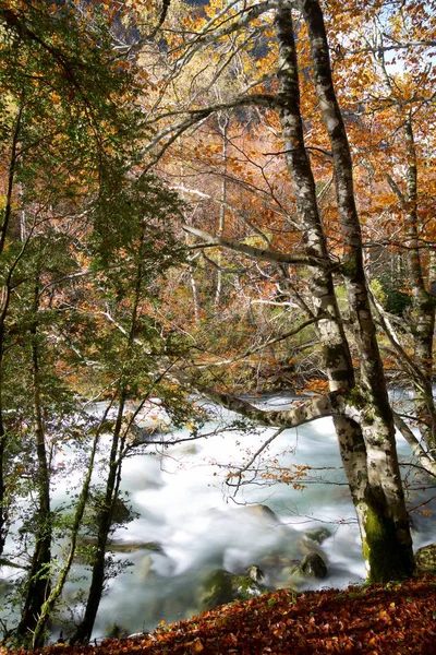 Hösten Ordesa Nationalpark Pyrenéerna Huesca Aragonien Spanien — Stockfoto