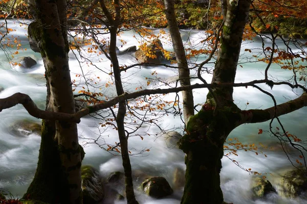 Hösten Ordesa Nationalpark Pyrenéerna Huesca Aragonien Spanien — Stockfoto