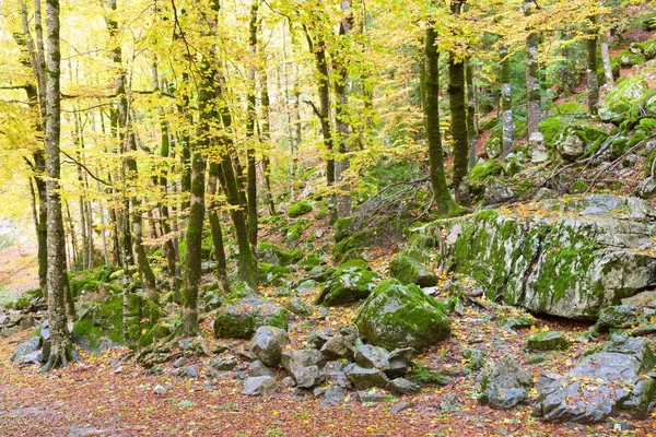 Podzim Národním Parku Ordesa Pyrenejí Huesca Aragon Španělsko — Stock fotografie
