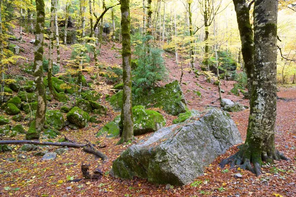 Podzim Národním Parku Ordesa Pyrenejí Huesca Aragon Španělsko — Stock fotografie