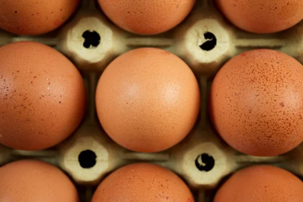 Κοντινό Πλάνο Αυγών Χαρτόνι — Φωτογραφία Αρχείου