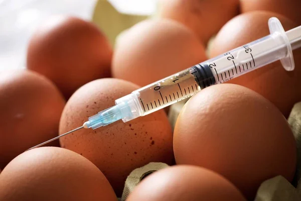 Manipulação Hormonal Com Seringa Ovos — Fotografia de Stock