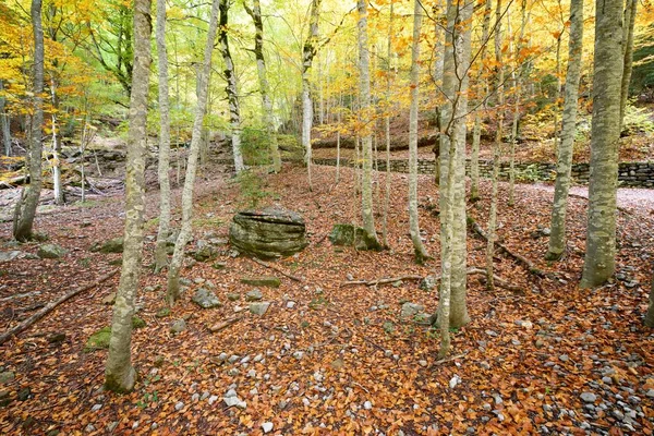 Autunno Nel Parco Nazionale Ordesa Pirenei Huesca Aragona Spagna — Foto Stock