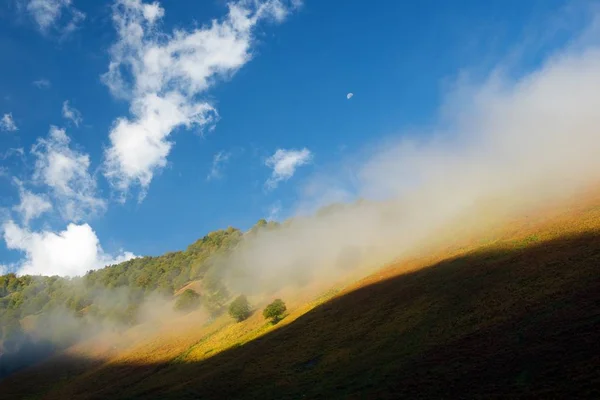 Fog Trees Aspe Valley Pyrenees National Park Pyrenees France — Stock Photo, Image