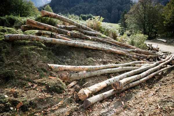 Trabalhos Alumínio Pyrenees Francia — Fotografia de Stock