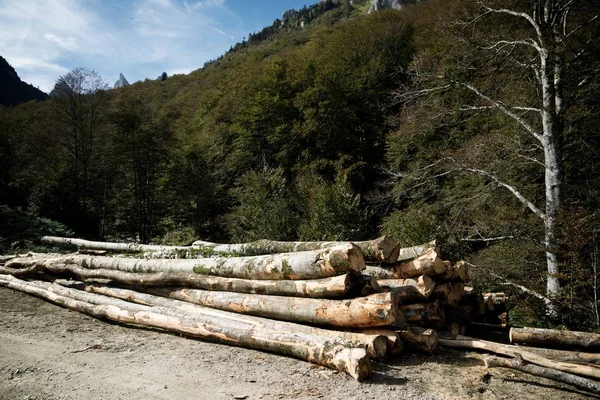 Trabajos Forestales Pirineos Francia —  Fotos de Stock