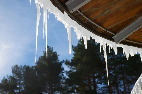 Icicles Valle Del Canfranc Pirenei Provincia Huesca Aragona Spagna — Foto Stock