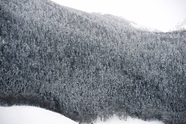 Aspe Valley, Fransa için karlı tepe.