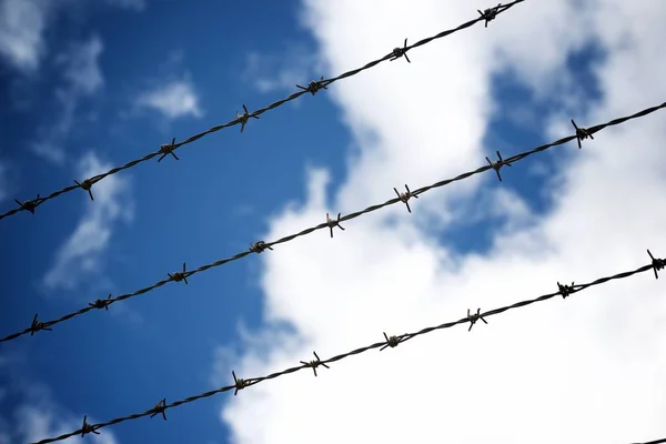 Barbed Wire Fence View Spain — Stock Photo, Image