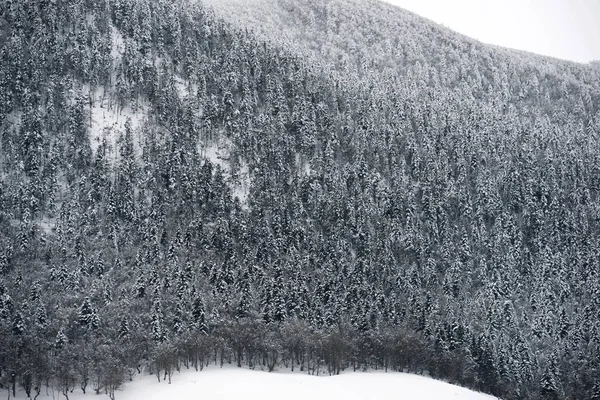 Снежный Холм Долине Аспе Франция — стоковое фото