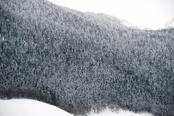 Aspe Valley, Fransa için karlı tepe.