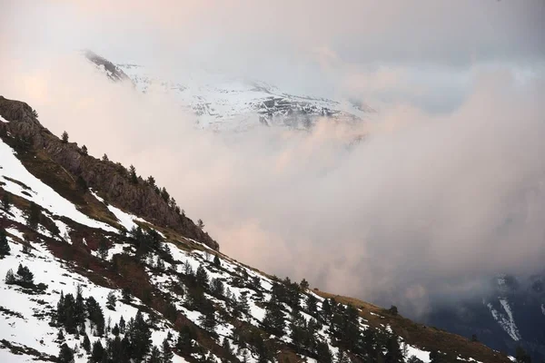 Снежные Вершины Долины Аспе Пиренеи Франция — стоковое фото