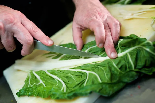 Preparación Verduras Restaurante —  Fotos de Stock