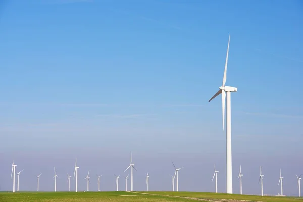 Elektrik Üretimi Için Yel Değirmenleri Zaragoza Bölgesi Aragon Spanya — Stok fotoğraf