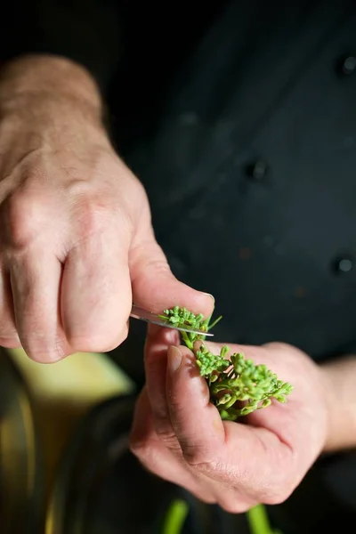 Preparación Verduras Restaurante —  Fotos de Stock