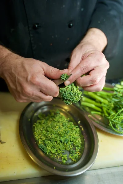 Preparation Vegetables Restaurant — Stock Photo, Image